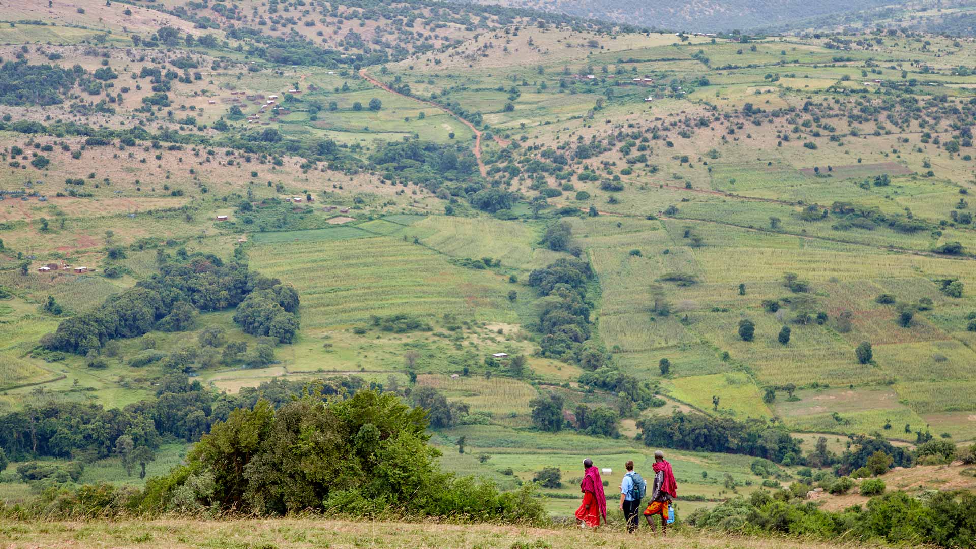 Nashulai, the Masai Mara & The Forest of the Lost Child